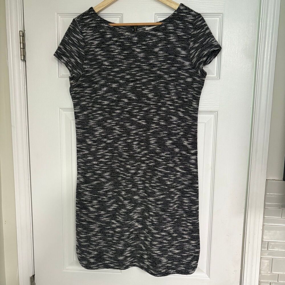 Loft Black And White Dress Size‎ Medium